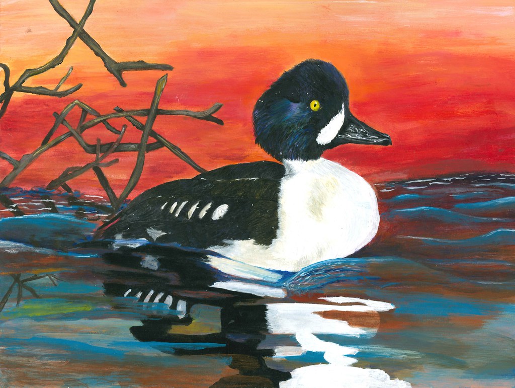 G4 HM Shelby Carter 2023 WY entry, used with permission fo… Flickr