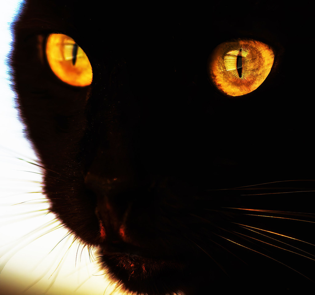 Untitled Jonathan Morse Flickr