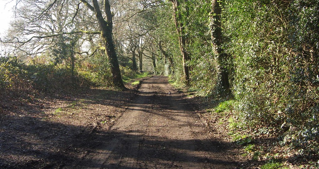 Roman Road, Corfe Mullen Taken from Cogdean Elms, looking … Flickr