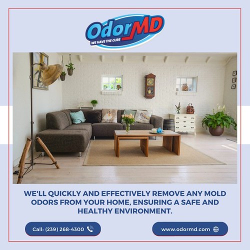 Professional Odor Removal Services In Cape Coral Professio… Flickr