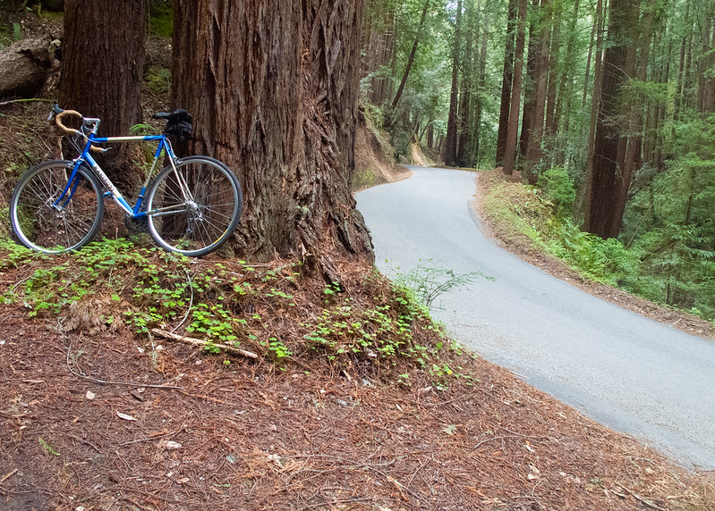 Bay Area Bike Rides Bay Area Bike Rides