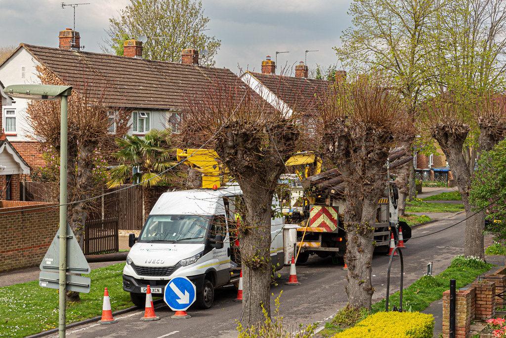 Phone lines down (20230419 1303) An view with no … Flickr