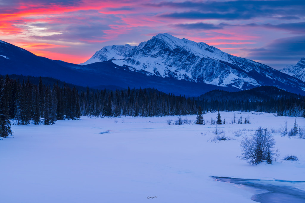 The Athabasca River. The Athabasca River. El río Athabasca… Flickr