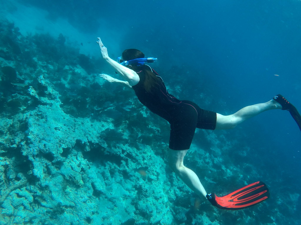 snorkel key largo (74) DCIM\101GOPRO\GOPR2397.JPG Flickr