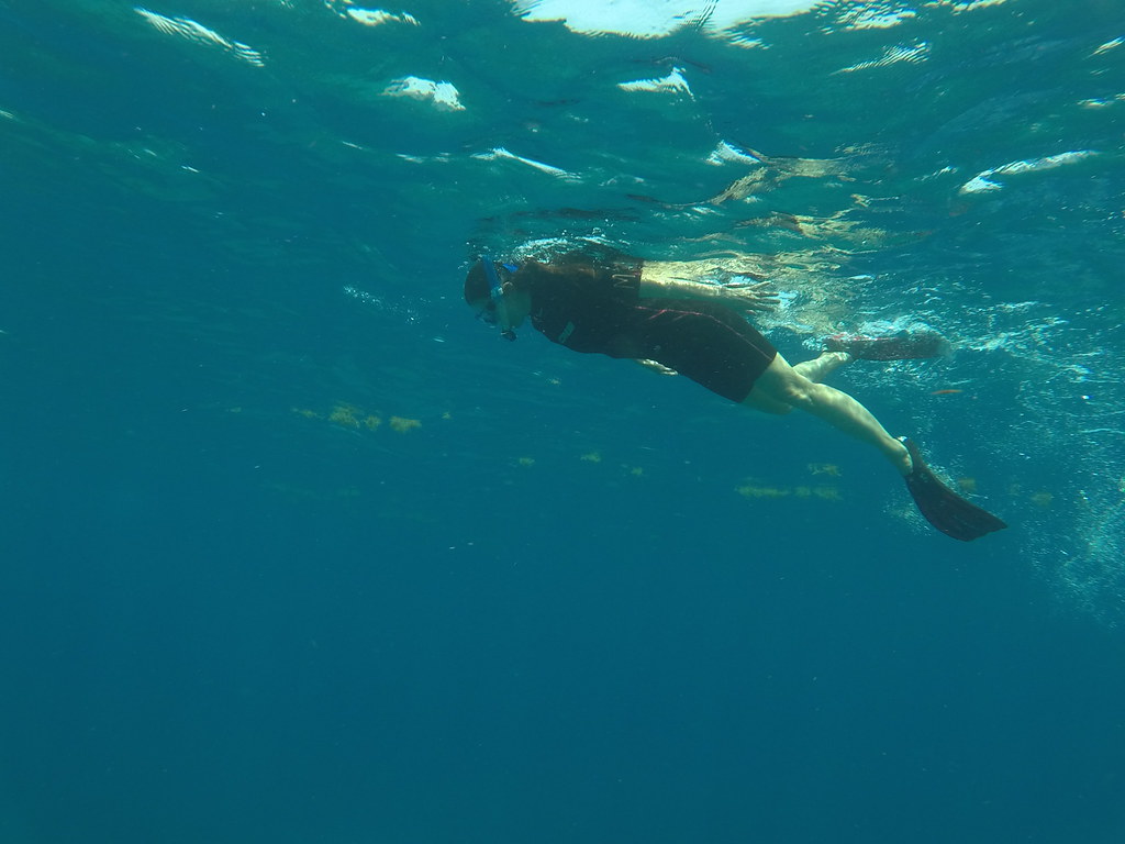 snorkel key largo (29) DCIM\101GOPRO\GOPR2352.JPG Flickr