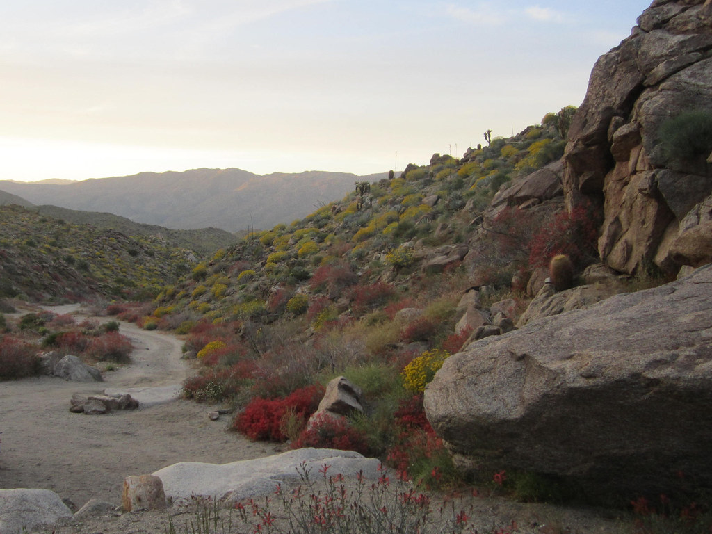 IMG_1928[1] plum canyon camp site sarahcrit Flickr