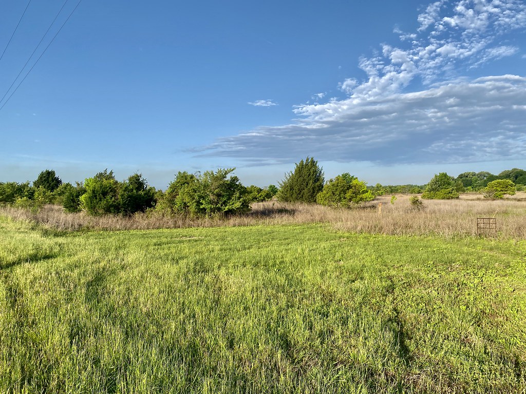 W. Irene Rd. impoundments Habitat shot for eBird list Flickr