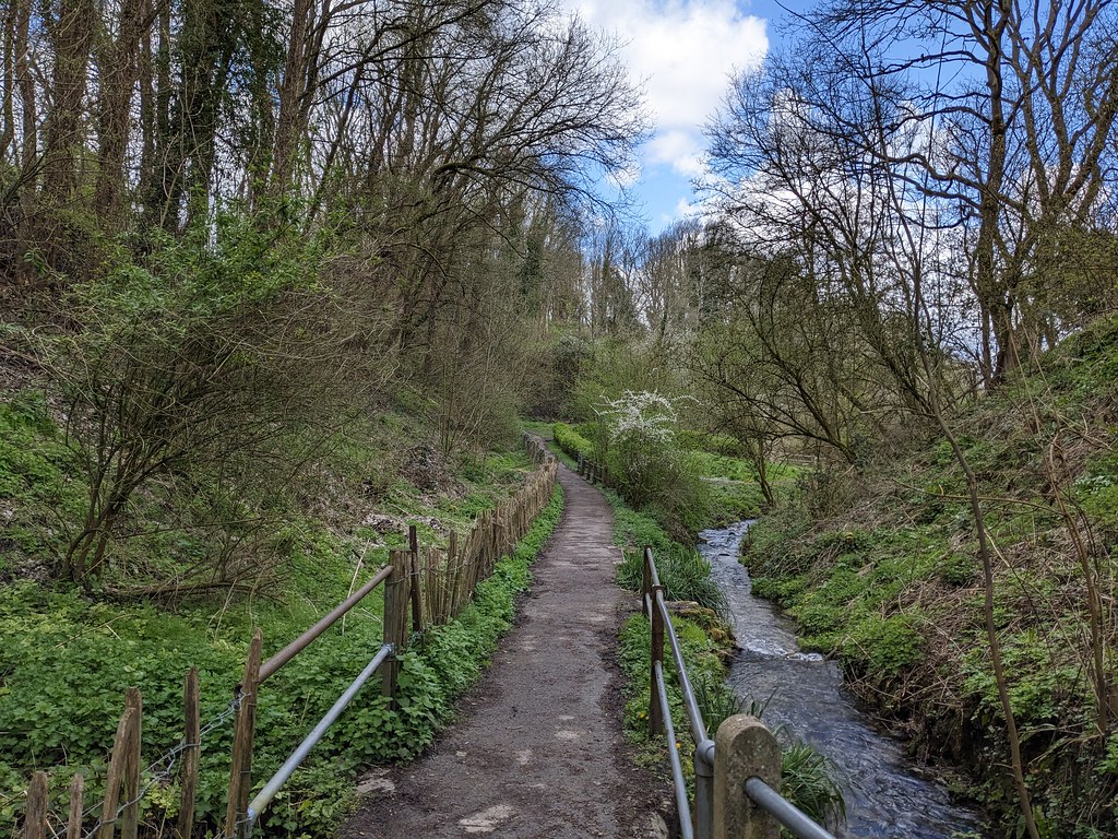 Woodlands around Chiseldon Washpool (1) Kite Flickr