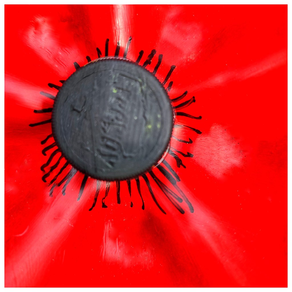 365117Poppy Plastic bottle poppy, Caterham church. Chris Cumming