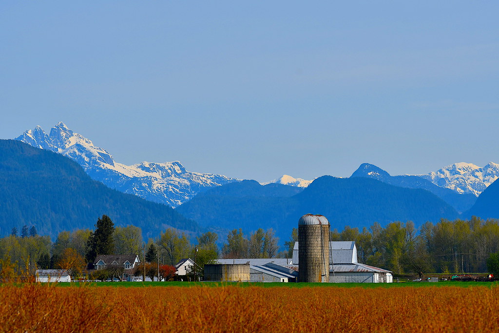 Farm Country Matsqui Prairie The Matsqu Prairie is a rur… Flickr