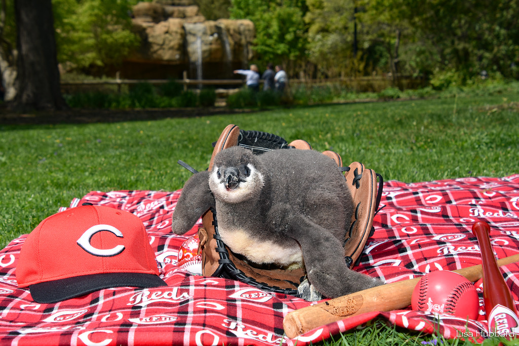 DSC_2487.jpg Lisa Hubbard Flickr