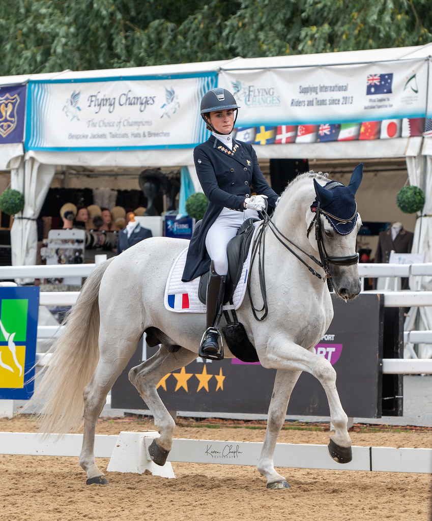 July2286 copy Karen Chaplin Flickr