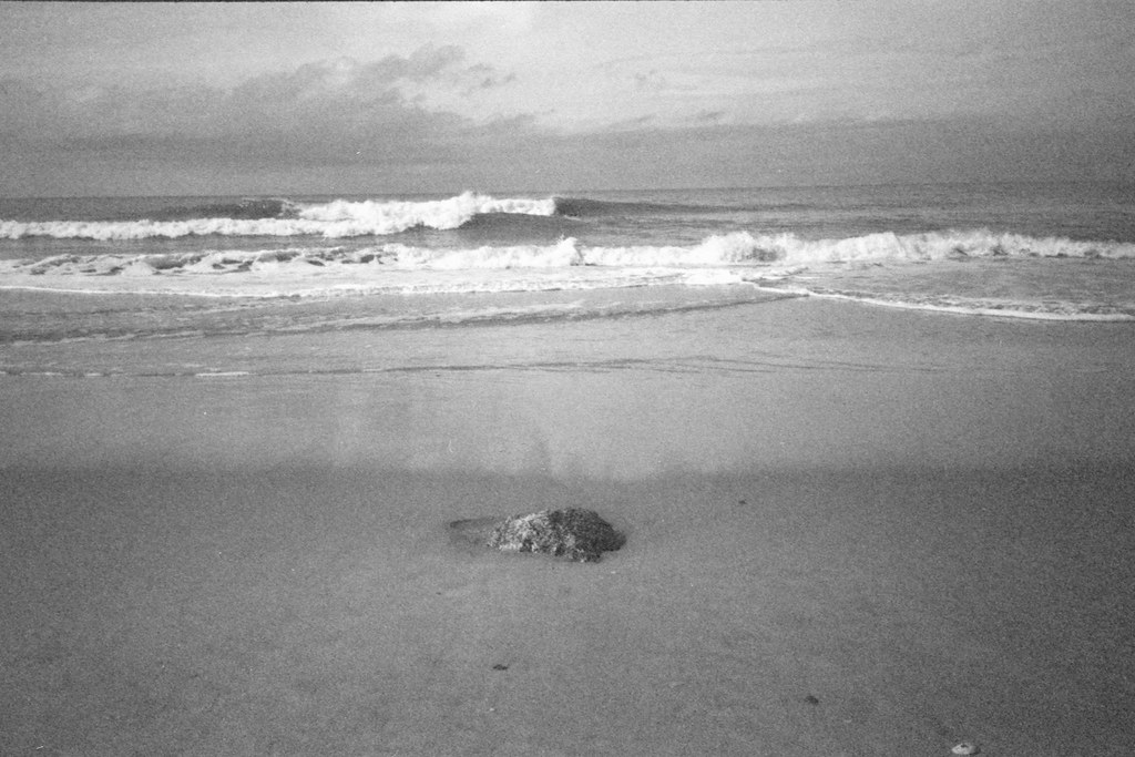 Garden City, Sc 3/2023 PentaxPC35 PhotoWorks 400 (Expired … Flickr