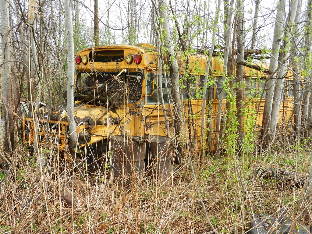 exB.O.C.E.S. No. 1 75 Juliano's Auto Parts Sodus, NY. Flickr