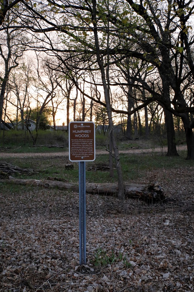 Humphrey Woods "The Humphrey Woods are an isolated woodlan… Flickr
