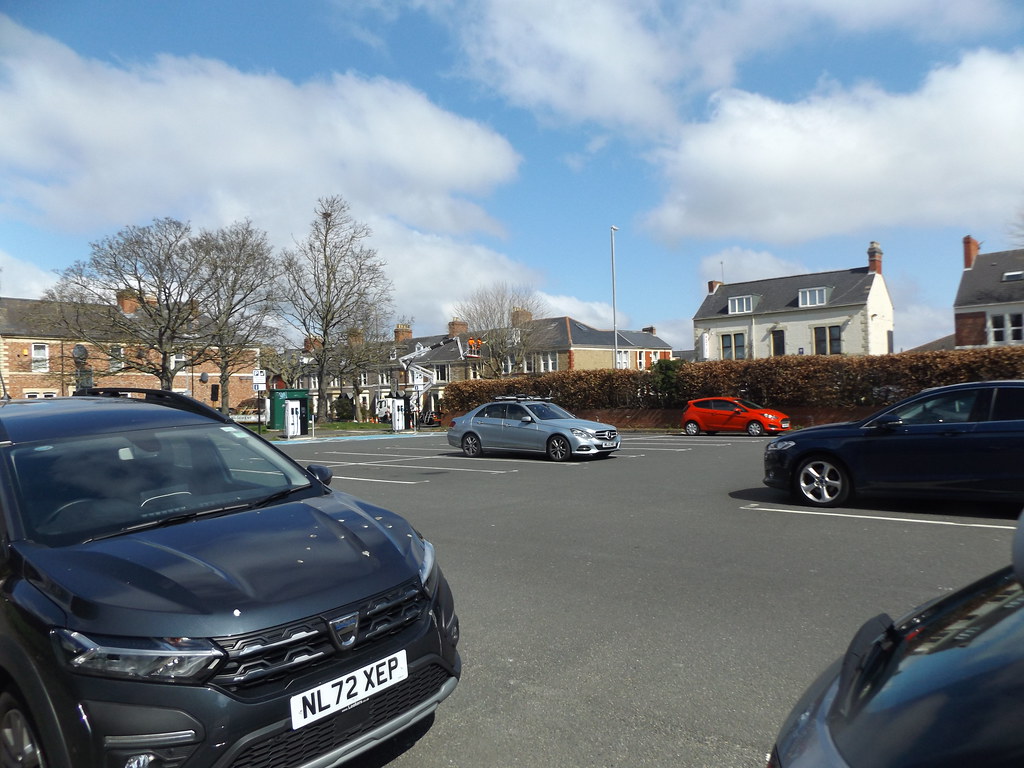 DSCF8125 Prince Consort Road tree trimming alfredstone Flickr