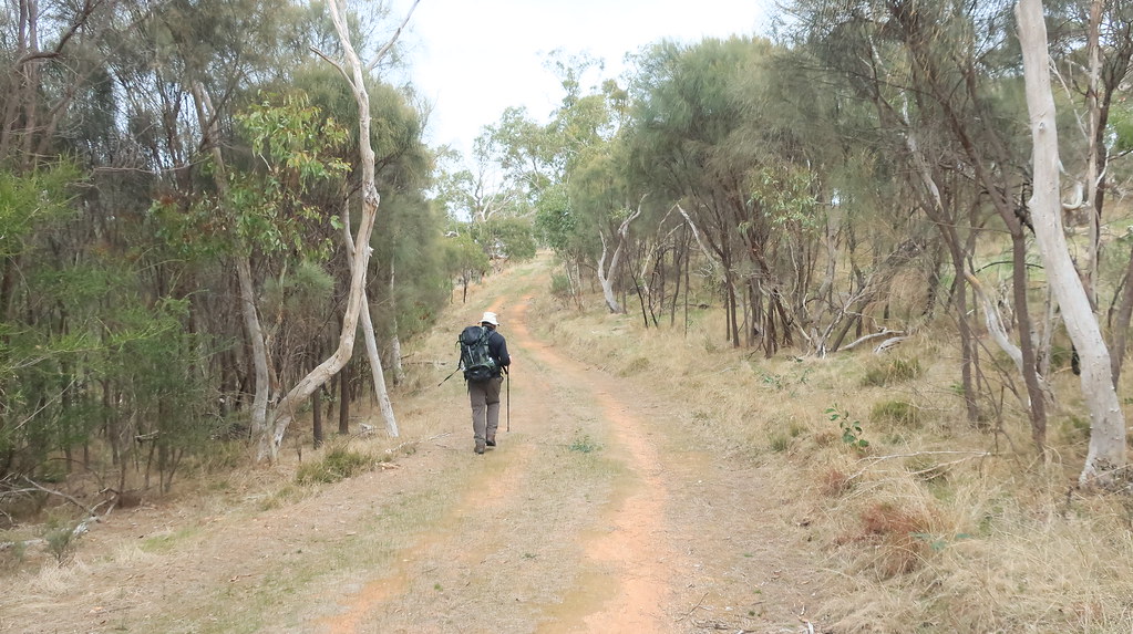 Para WirraBarossa Goldfields 07 WEA Ramblers Flickr