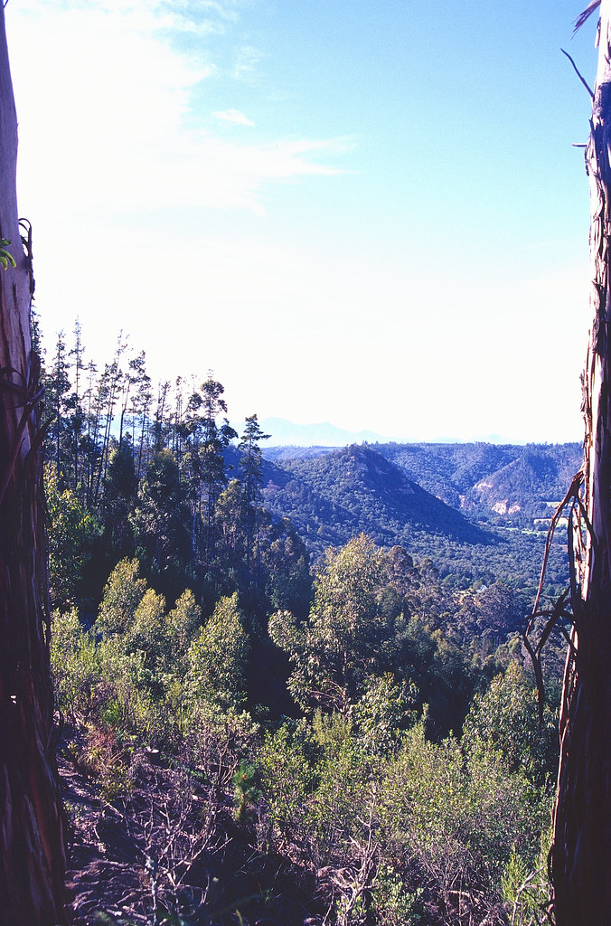 sedgefield (4) Pine Lake Marina / Sedgefield 2002 Landi Schoombie