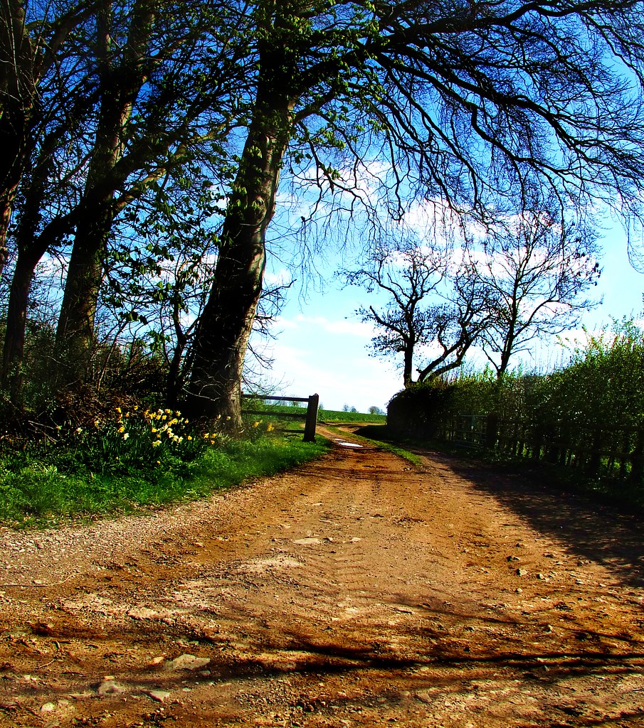 Newgate Lane Newgate Lane tina negus Flickr