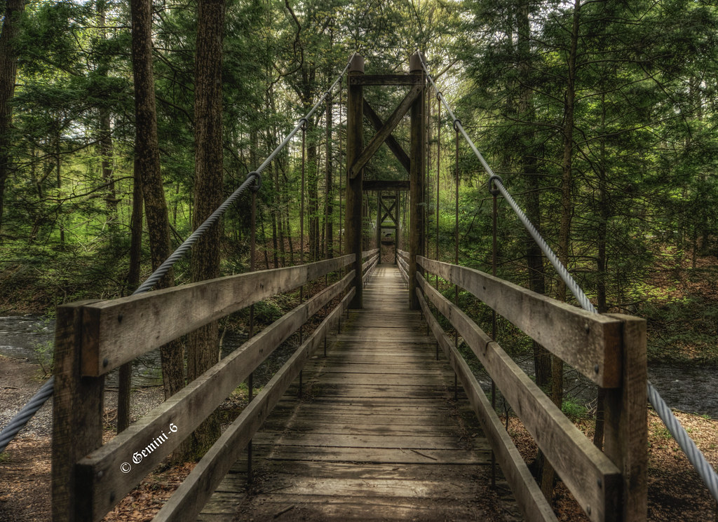 Bridging the Gap Seen at the Black Creek Preserve Esopus… *Going