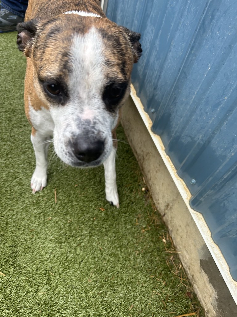 Untitled Greenlin Lambs Gap Flickr