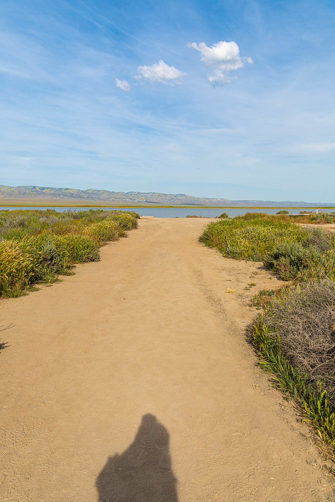 Soda Lake Boardwalk Hike April 29, 2023 Soda Lake Boardw… Flickr