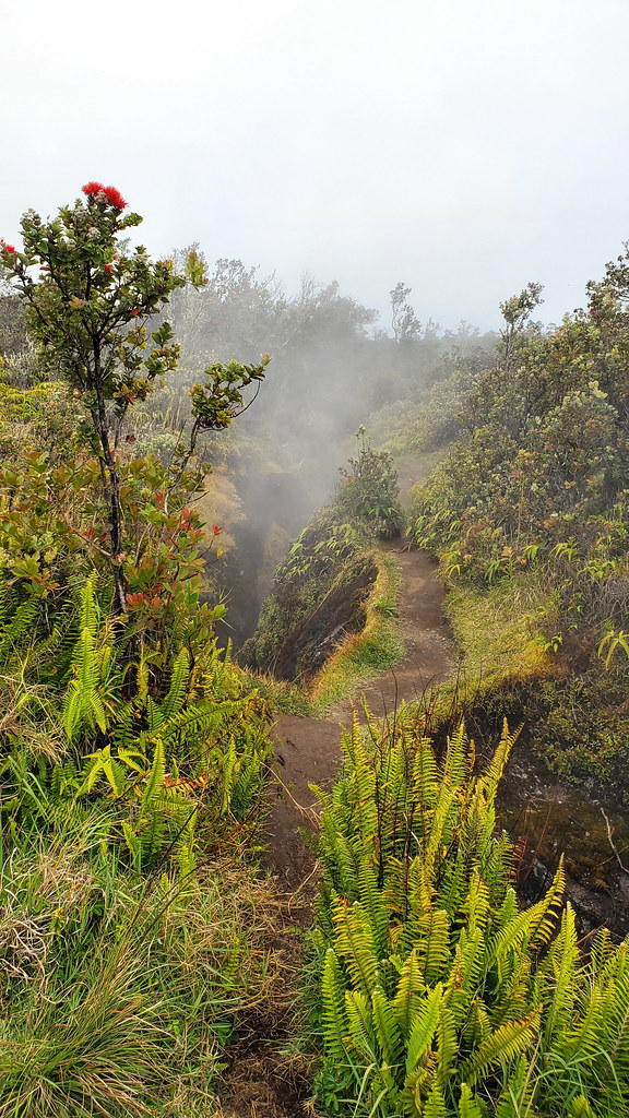 20220330_160306_sulphur_banks sulphur banks arkaein Flickr