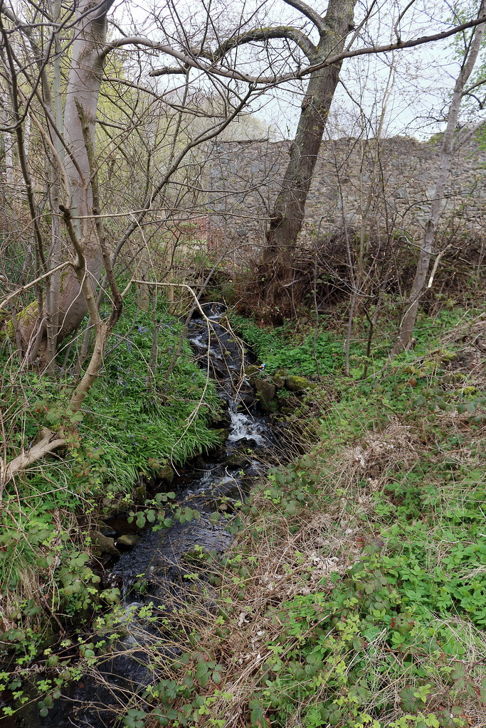 Malcolm Road,Peterculter_may 23_6248 Alan Longmuir. Flickr