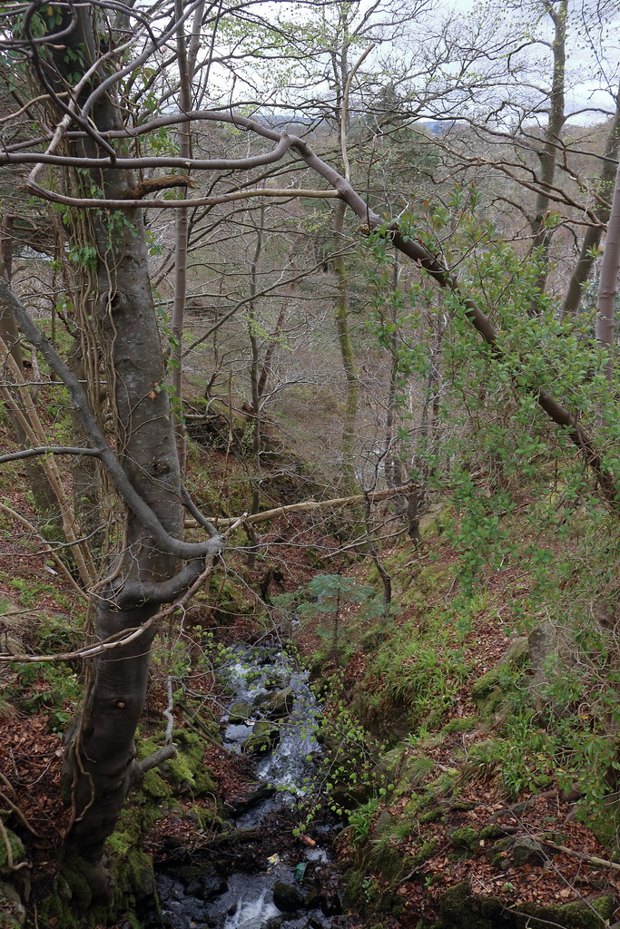 Malcolm Road,Peterculter_may 23_6247 Alan Longmuir. Flickr