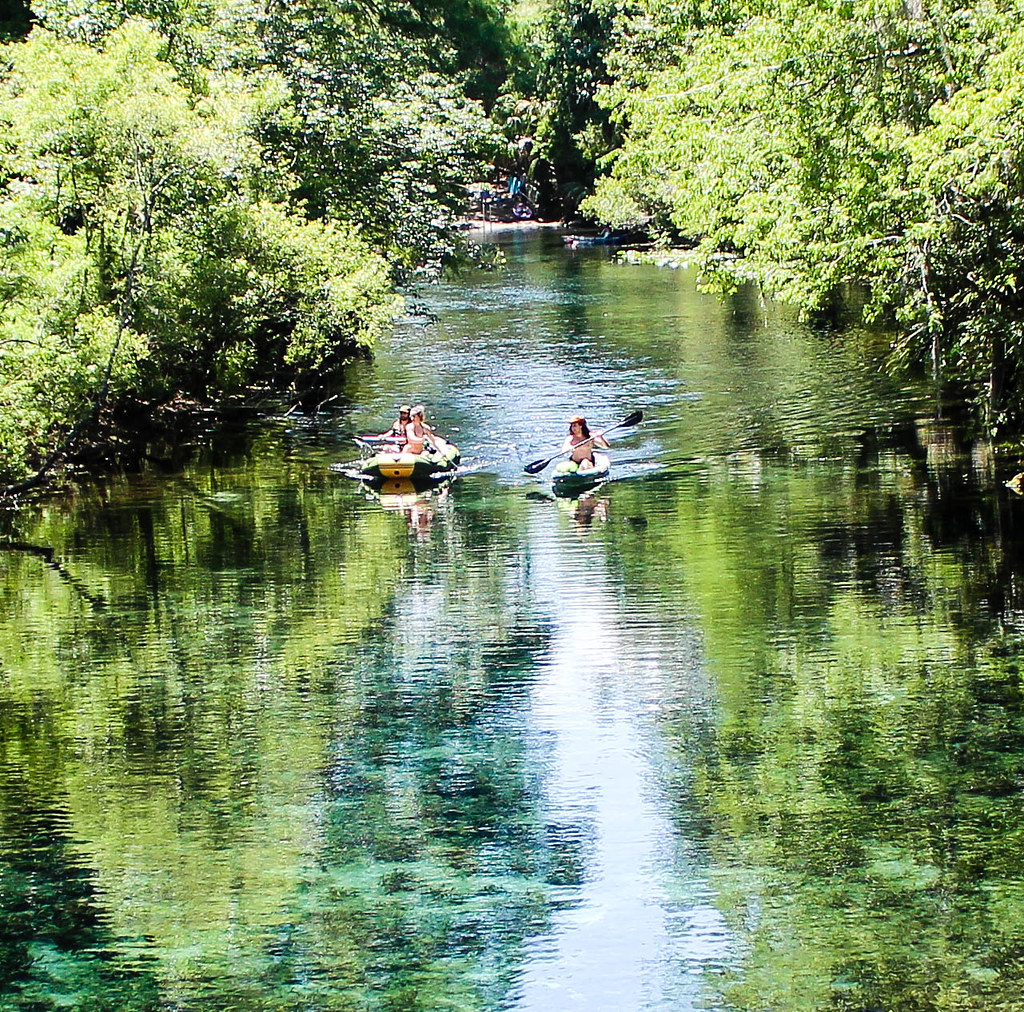 FL SILVER SPRINGS,20230420,0063 FL SILVER SPRINGS STATE PA… Flickr