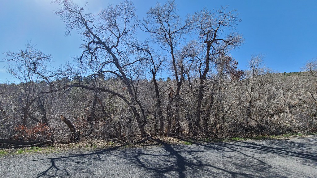 A walk up Butterfield Canyon torhalla Flickr
