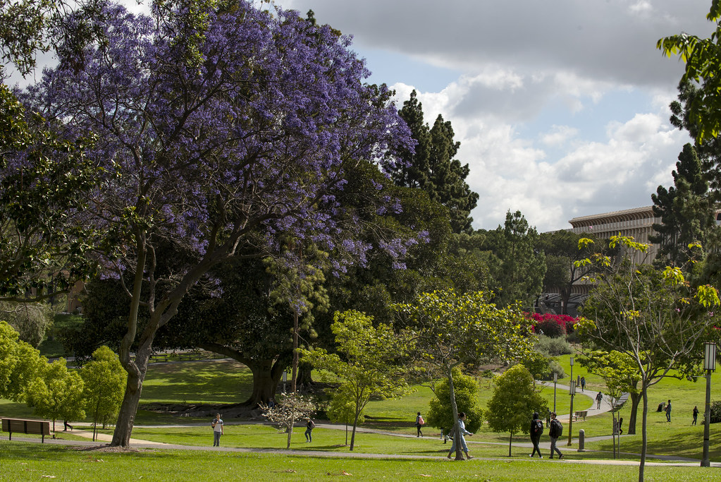 aldrichpark_trees_052019_0096_sz Aldrich Park, UCI photo … Flickr
