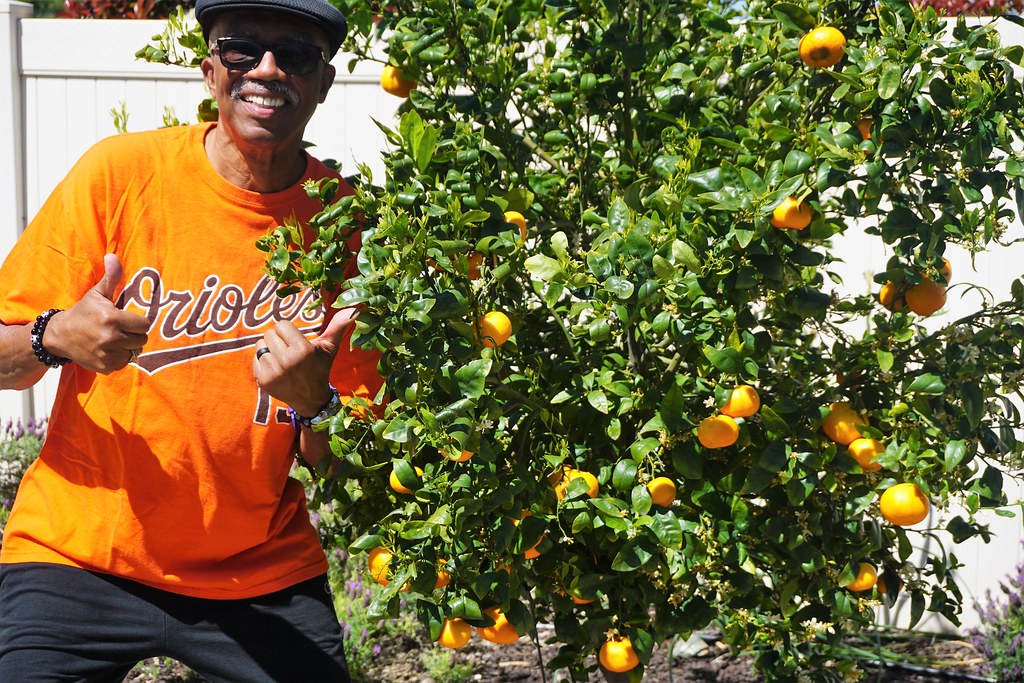 DSC05461 White Flickr