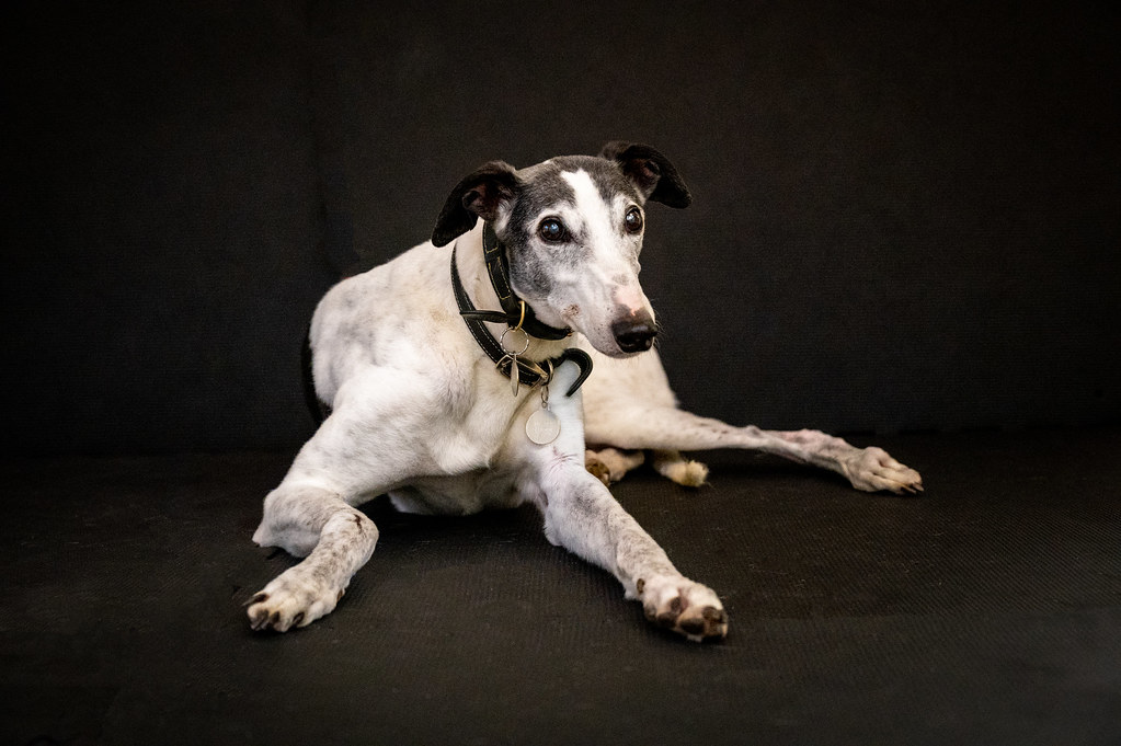 April 23 Karen Chaplin Flickr