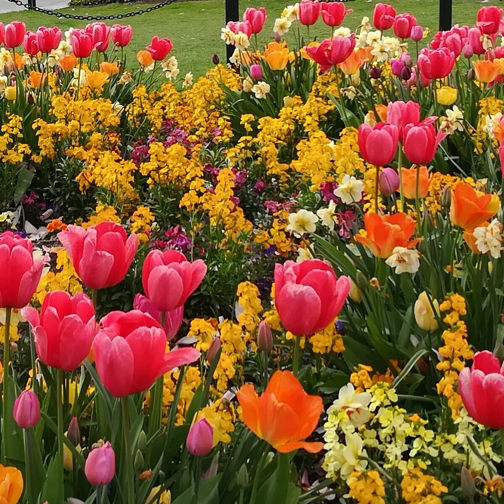 A Garden Variety Flickr