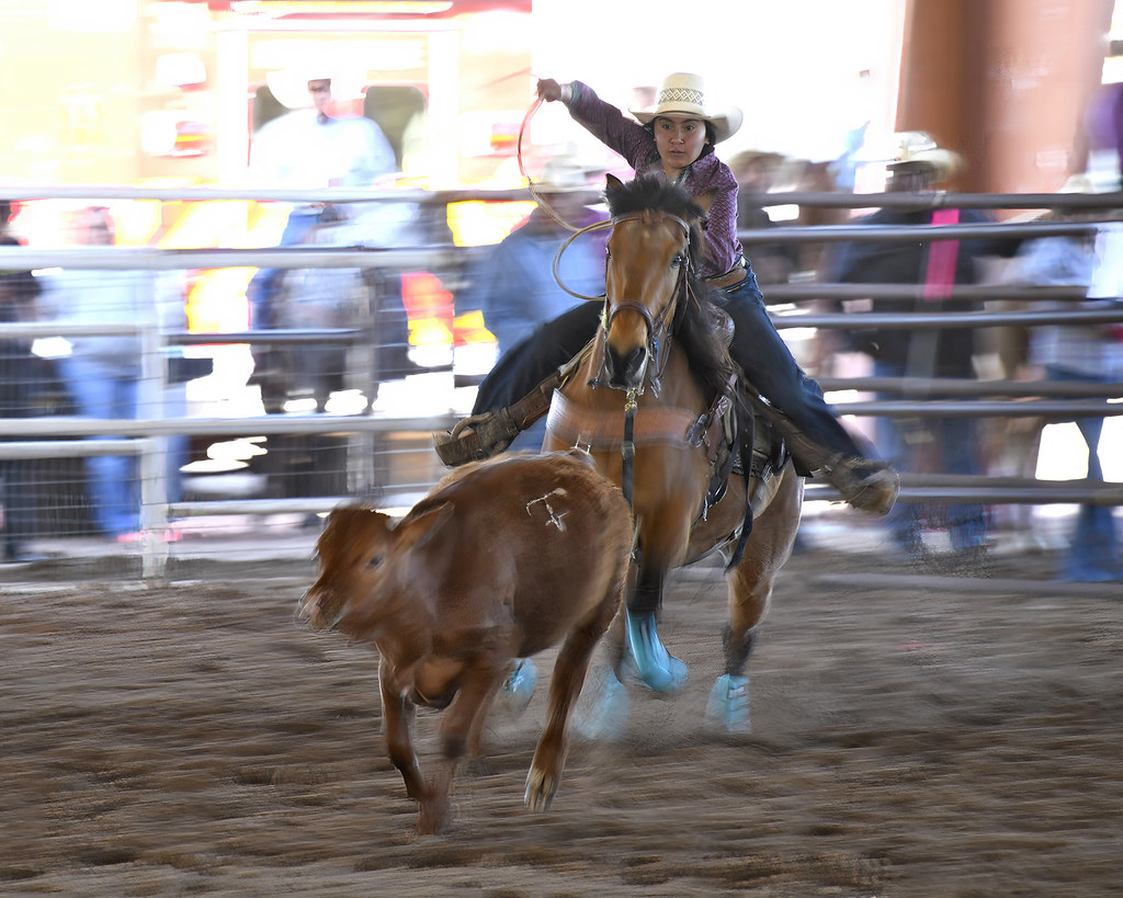 Breakaway Roping Breakaway Roping at Rodeo de Rio Grande Mike Stoy
