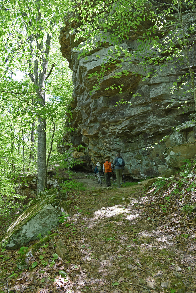 magnoliafalls_boengulf49 Bluffline at level of Magnolia… Flickr