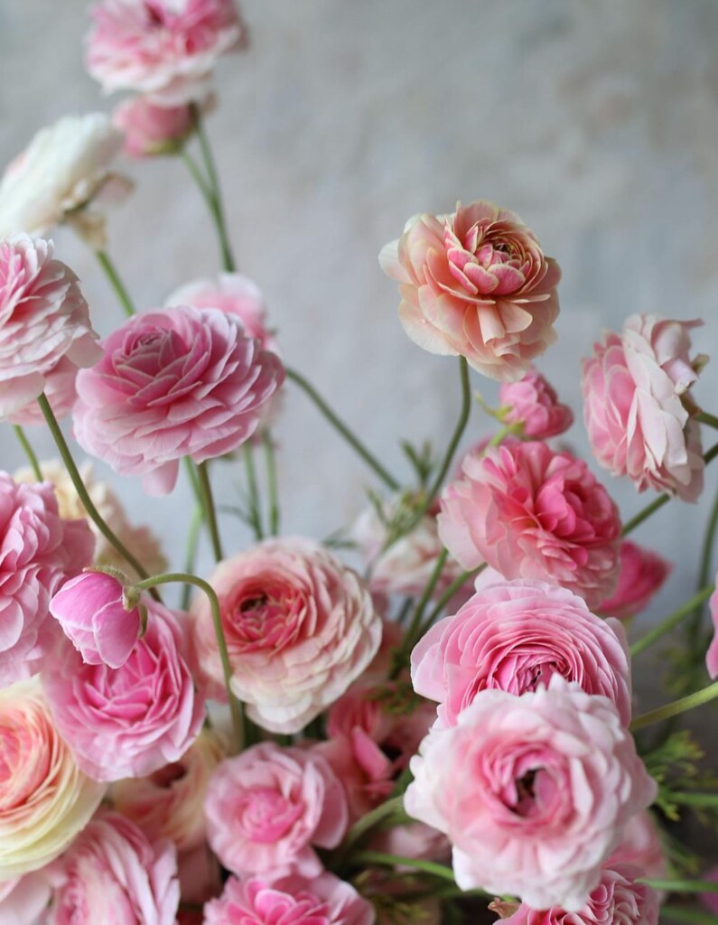 Only the Good Stuff Multivitamins For Your Weekend [5.6.2023] Ann