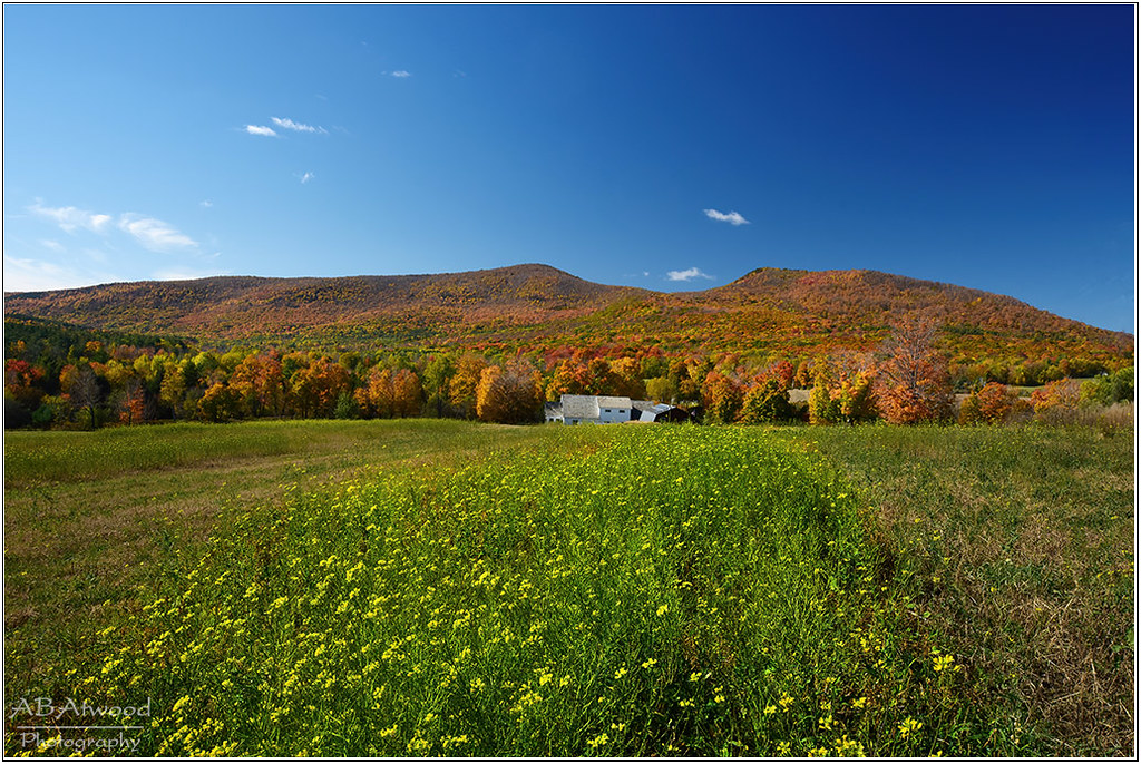 Danby Vt Danby Hill Farm 20201011 065vtsm Alan Atwood Flickr