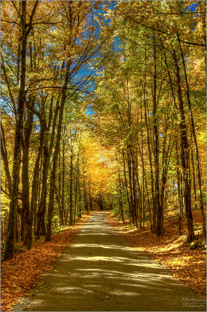 Albany Vt Lost Nation Rd 20181005019 d Alan Atwood Flickr