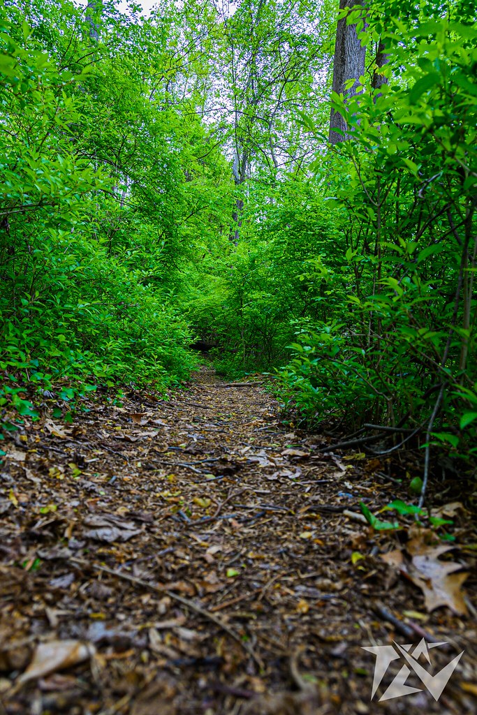 Marsh Creek State Park, PA 5/2/23 Marsh Creek State Park, … Flickr
