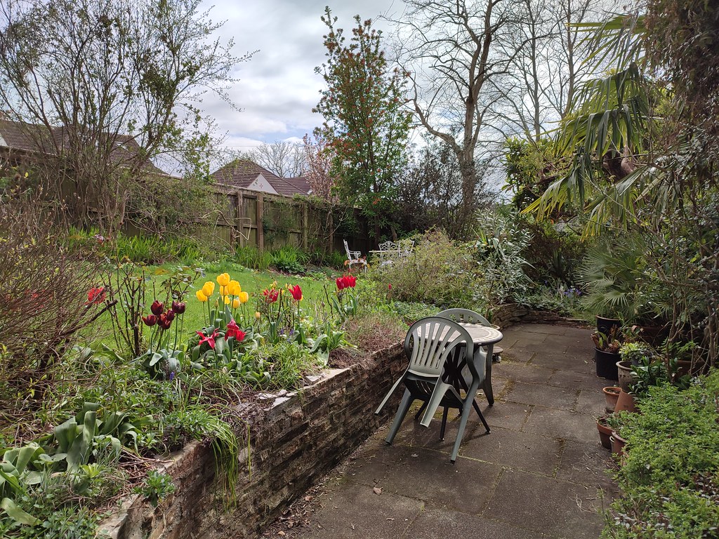 IMG_20230416_153632 21 Beechwood Garden April 2023 Jeff Collman