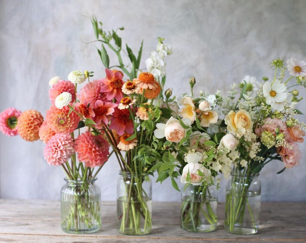 Only the Good Stuff Multivitamins For Your Weekend [5.6.2023] Ann