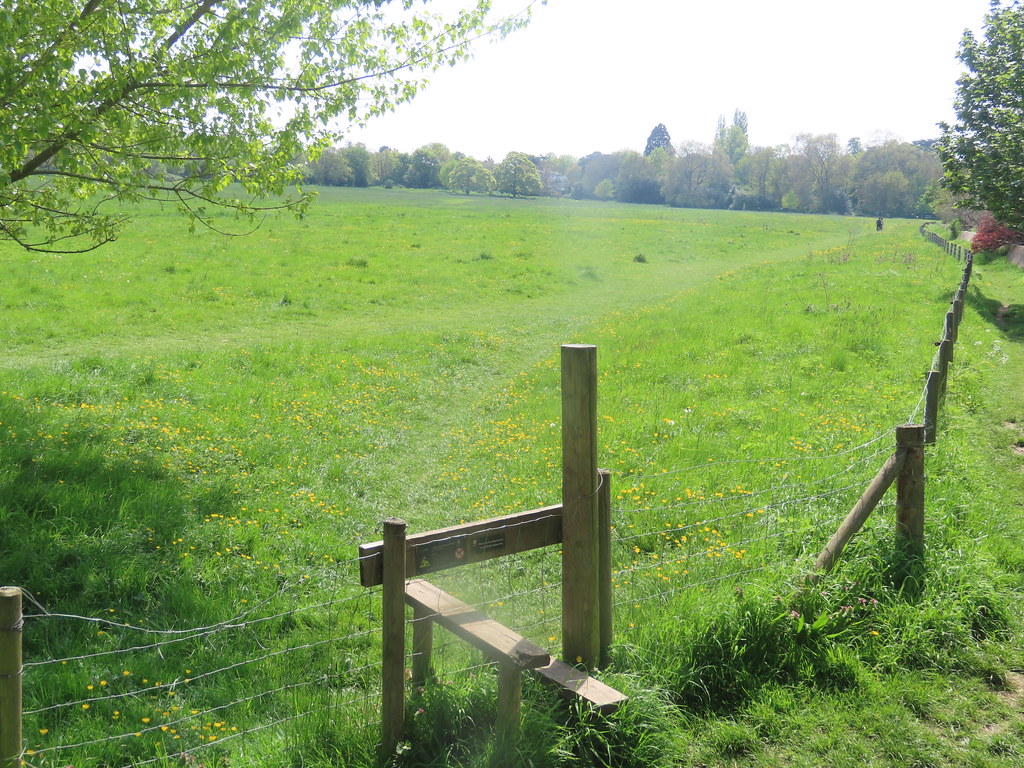 Petersham Meadow IMG 2079 (1) river crane sanctuary Flickr