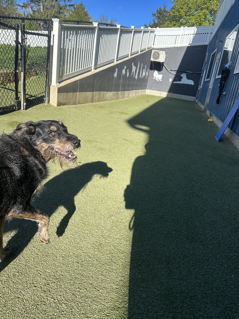 Untitled Greenlin Lambs Gap Flickr