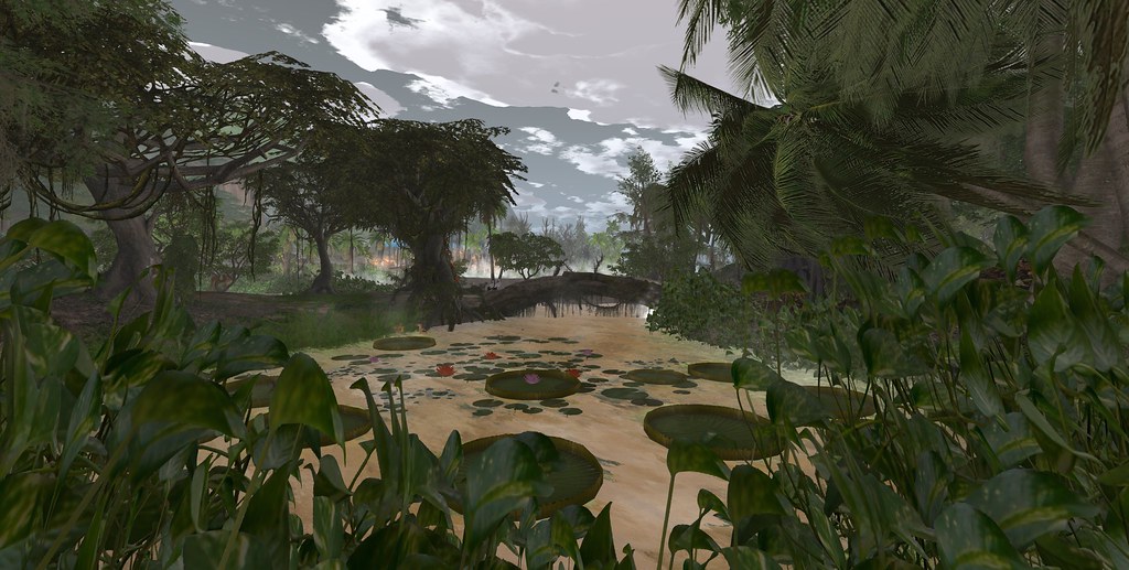 Pororoca Amazonia Zara 921 Flickr