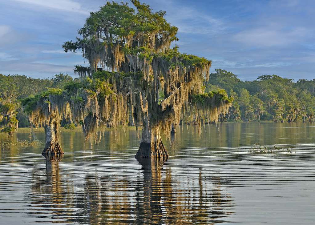 Blue Cypress Lake, Vero Beach FL David Sendzul Flickr