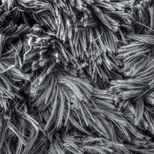 Faux Fur Soft textured faux fur for the Looking Close... O… Flickr