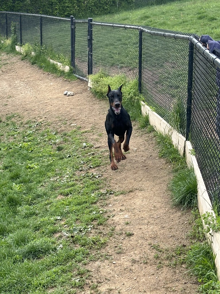 Untitled Greenlin Lambs Gap Flickr