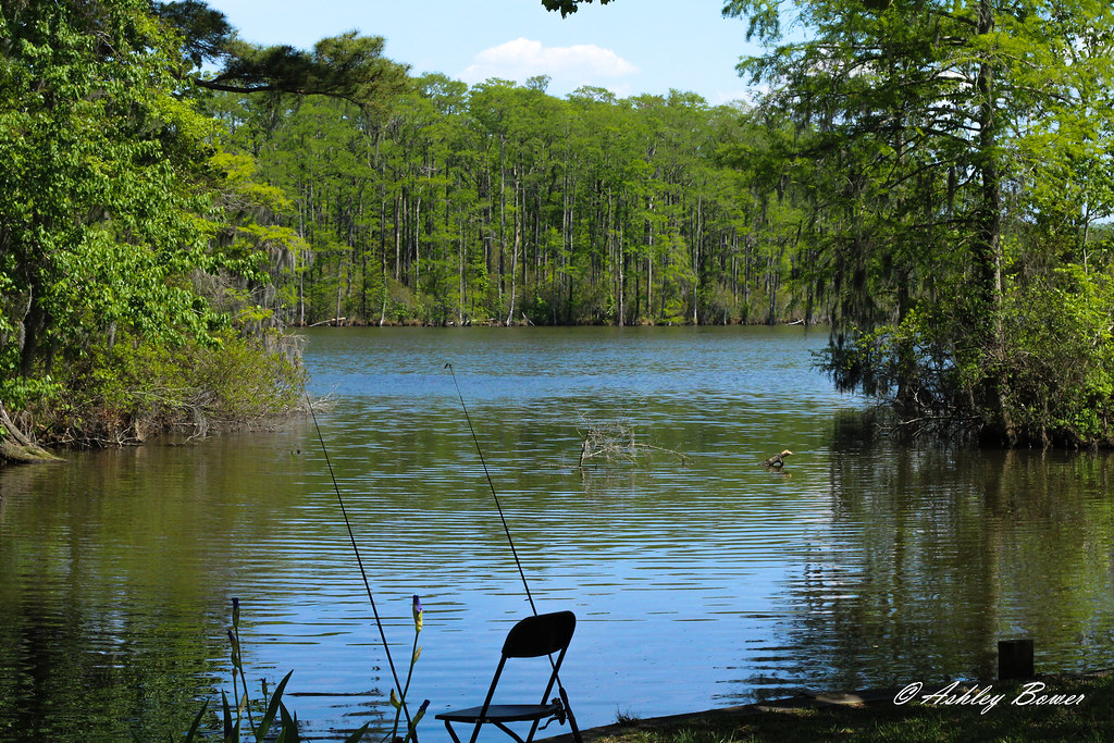 Hertford, NC Albemarle Sound Ashley Bower Flickr